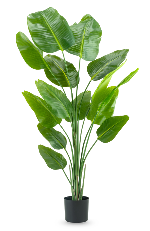 Location de plante artificielle strelitzia à Marseille et dans la région PACA